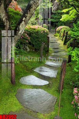 File gốc File tranh gốc tổng hợp K83992 (phiên bản chuẩn) để in ấn