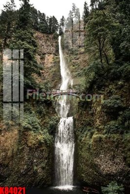 File PSD File tranh gốc tổng hợp K84021 (gốc) cho designer