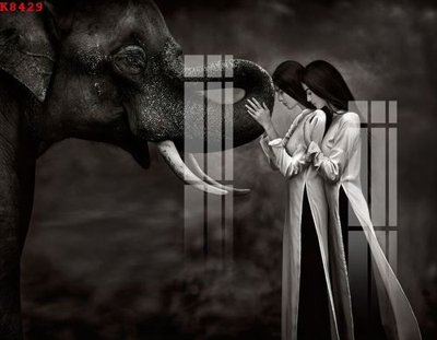 File gốc File gốc in tranh tổng hợp K8429 (trang trí) phòng trẻ em