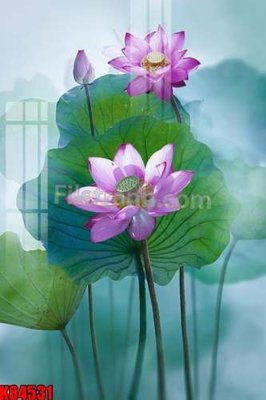 Tải file File tranh gốc tổng hợp K84531 (gốc) chủ đề hoa sen