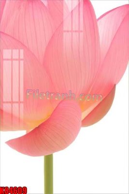 Download file File tranh gốc tổng hợp K84609 (chất lượng in ấn)