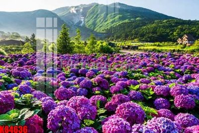 Download file File tranh gốc tổng hợp K84636 (chuẩn in) File tranh gốc tổng hợp K84636