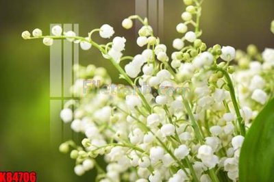 File in ấn cao cấp File tranh gốc tổng hợp K84706 (file gốc)