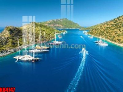 Tải file gốc File tranh gốc tổng hợp K84747 (in tráng gương) cao cấpFile gốc File tranh gốc tổng hợp K84747 (in ấn) phiên bản độc quyền