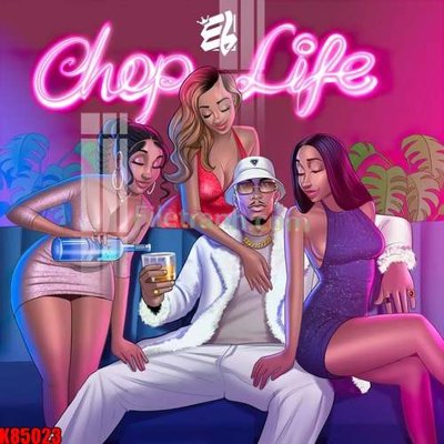 File tranh in trần File tranh gốc tổng hợp K85023 (ảnh gốc siêu nét)