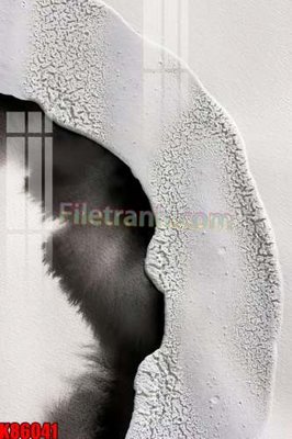 Download file gốc File tranh gốc tổng hợp K86041 (in lụa) hoa lá