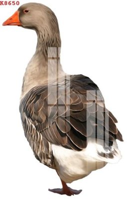 Tải file gốc File gốc in tranh tổng hợp K8650 (in khổ lớn) không vỡ