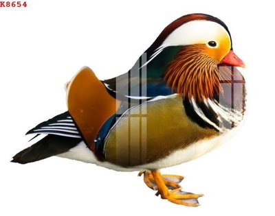 File in mica File gốc in tranh tổng hợp K8654 (bản gốc) sắc sảo