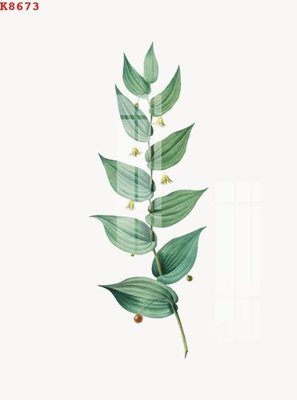 File tranh File gốc in tranh tổng hợp K8673 (bản gốc) in canvas