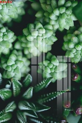 Download file gốc File gốc in tranh tổng hợp K8686 (in lụa) cao cấp