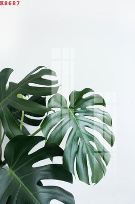 File tranh File gốc in tranh tổng hợp K8687 (gốc) chủ đề trẻ em