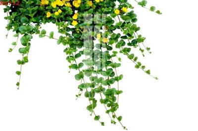 Tải file File gốc in tranh tổng hợp K8712 (gốc) làm file thiết kế