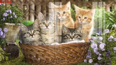 Tải file gốc File gốc in tranh tổng hợp K8780 (bản PSD) đầy đủ layer