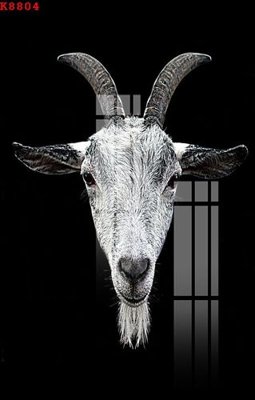 Chi tiết file gốc File gốc in tranh tổng hợp K8804 (cho in tráng gương)