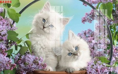 File gốc File gốc in tranh tổng hợp K8888 (in mica) làm bảng hiệu