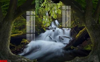 File in mica File tranh gốc tổng hợp tranh nền tường đẹp K89160 (ảnh gốc) đẹp