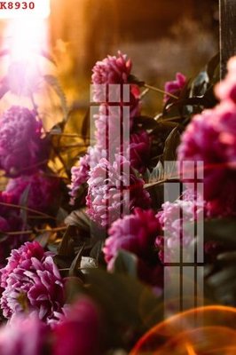 Download file File gốc in tranh tổng hợp K8930 (gốc) cho xưởng in