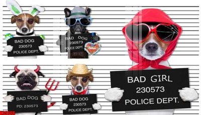 Tải file File tranh gốc tổng hợp tranh nền tường đẹp K89366 (ảnh gốc) in gạch 3D