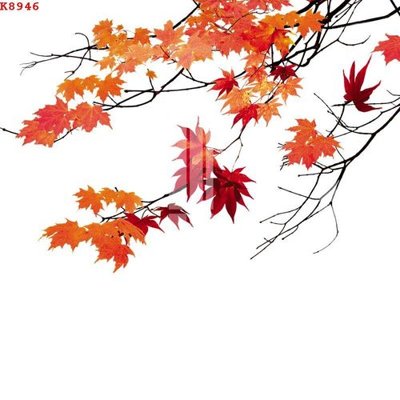 Tải file tranh gốc File gốc in tranh tổng hợp K8946 chất lượng cao