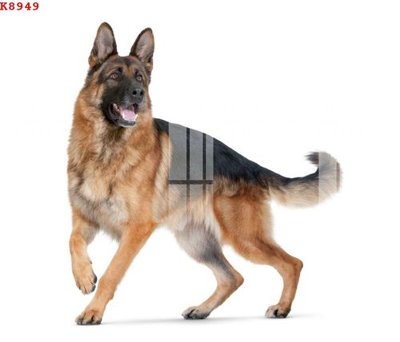 File ảnh gốc File gốc in tranh tổng hợp K8949 (chuyên in mica)