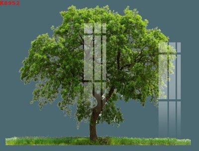 File gốc in ấn File gốc in tranh tổng hợp K8952 độ phân giải cao