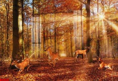 File gốc File tranh gốc tổng hợp tranh nền tường đẹp K89638 (in 3D) cho trang trí