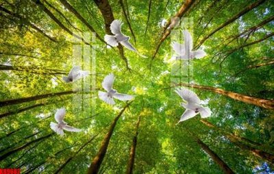 File tranh File tranh gốc tổng hợp tranh nền tường đẹp K89682 (ảnh gốc) chi tiết rõ ràng