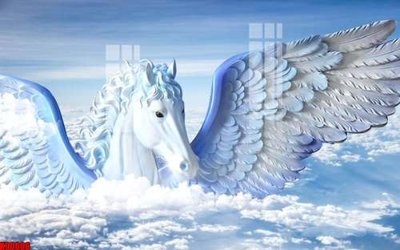 File in trần File tranh gốc tổng hợp tranh nền tường đẹp K90006 (bản gốc) 5D