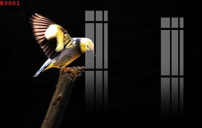 Tải file File gốc in tranh tổng hợp K9001 (gốc) chủ đề tôn giáo