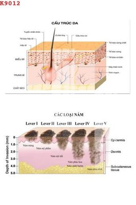 Download file gốc File gốc in tranh tổng hợp K9012 (in lụa) hoa lá
