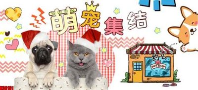 File ảnh File tranh gốc tổng hợp tranh nền tường đẹp K90161 (gốc) in standee