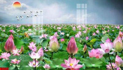 File gốc File tranh gốc tổng hợp tranh nền tường đẹp K90247 (ảnh chi tiết) để in ấn