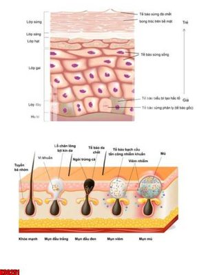 File gốc File tranh gốc tổng hợp tranh nền tường đẹp K90251 (in lụa) hoa văn cổ điển