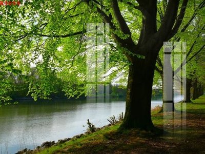 Tải file gốc File gốc in tranh tổng hợp K9059 (in khổ lớn) không vỡ