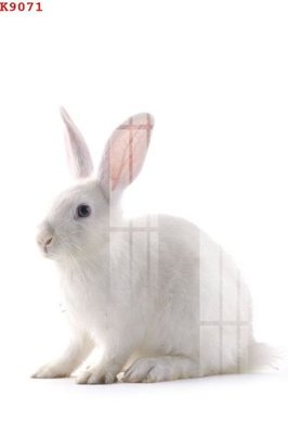 File gốc File gốc in tranh tổng hợp K9071 (trang trí) phòng ngủ