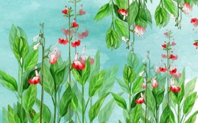 File gốc File tranh gốc tổng hợp tranh dán nền tường đẹp K91591 (cho in ấn) từ kho Filetranh