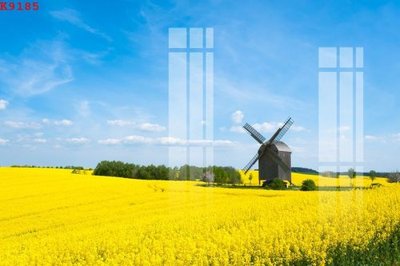 Tải file PSD File gốc in tranh tổng hợp K9185 (nguyên layer) để in