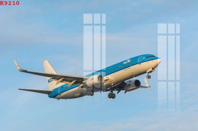 File in trần File gốc in tranh tổng hợp K9210 (bản gốc) hoa văn