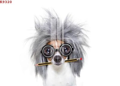 Tải file File gốc in tranh tổng hợp K9320 (PSD) cho in tranh 3D