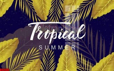 Tải về file gốc File tranh gốc tổng hợp tranh nền tường đẹp K93596 (dùng cho in quảng cáo)