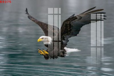 Download file tranh File gốc in tranh tổng hợp K9375 (file gốc PSD)