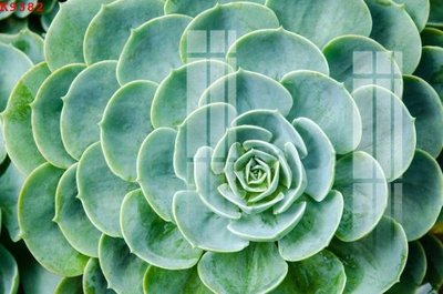 Tải file File gốc in tranh tổng hợp K9382 (PSD) cho in tranh kính