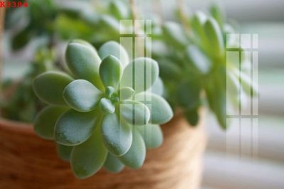 Tải file gốc File gốc in tranh tổng hợp K9384 (bản PSD) gốc