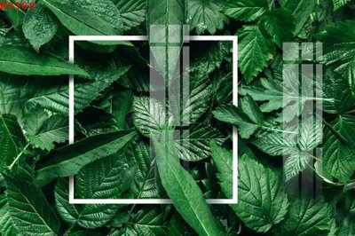 File tranh File gốc in tranh tổng hợp K9389 (bản gốc) treo quán cafe