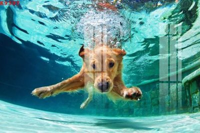 Mua file tranh gốc File gốc in tranh tổng hợp K9397 tại Filetranh.com