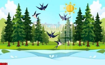 File tranh File tranh gốc tổng hợp tranh nền tường đẹp K94131 (ảnh gốc) sắc nét hoàn hảo