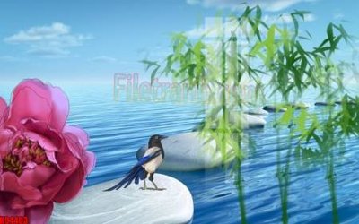 Download file gốc File tranh gốc tổng hợp tranh nền tường đẹp K94403 (in mica) logo