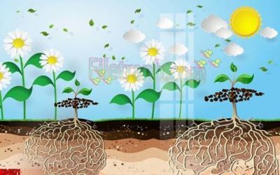 File gốc File tranh gốc tổng hợp tranh nền tường đẹp K94571 (in 3D) cho trang trí