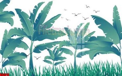 File tranh File tranh gốc tổng hợp tranh nền tường đẹp K94614 (gốc) in vải canvas