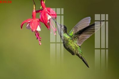 File gốc File gốc in tranh tổng hợp K9538 (chủ đề hiện đại) trang trí